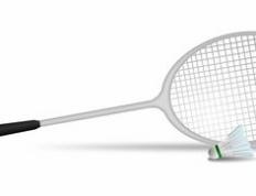 乐鱼体育-中国羽毛球队横扫丹麦羽毛球队，辛杜制霸全场