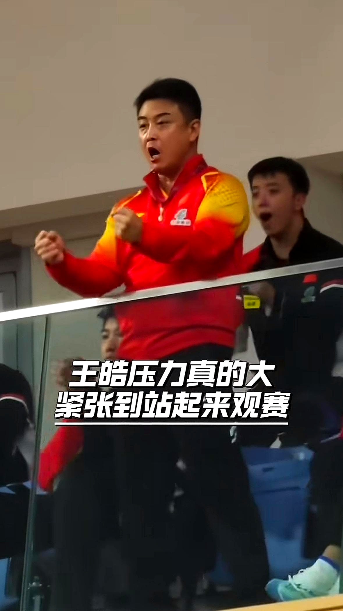 乐鱼 vip 注册-中国乒乓球队碾压德国乒乓球队,王皓统治全场的简单介绍